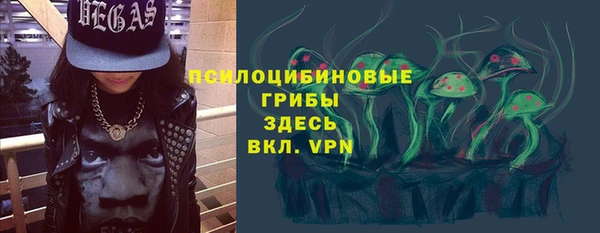 сатива Володарск