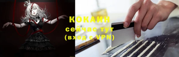 сатива Володарск