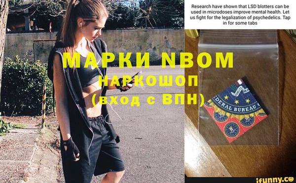 сатива Володарск