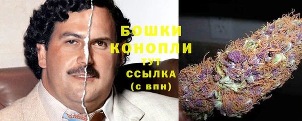 сатива Володарск
