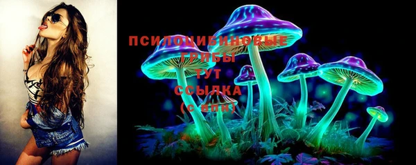 сатива Володарск