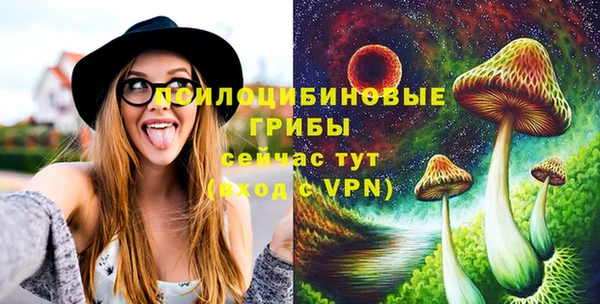 сатива Володарск