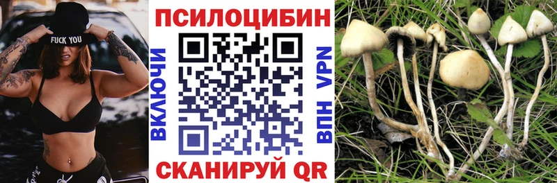Купить  Пущино  Псилоцибиновые грибы ЛСД 